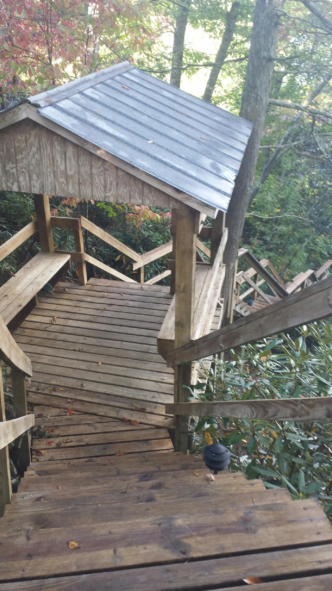 Metal roofed shelter over wooden steps on a wooded walkway — Skylight Repair & Installation work by our crew in Pasadena