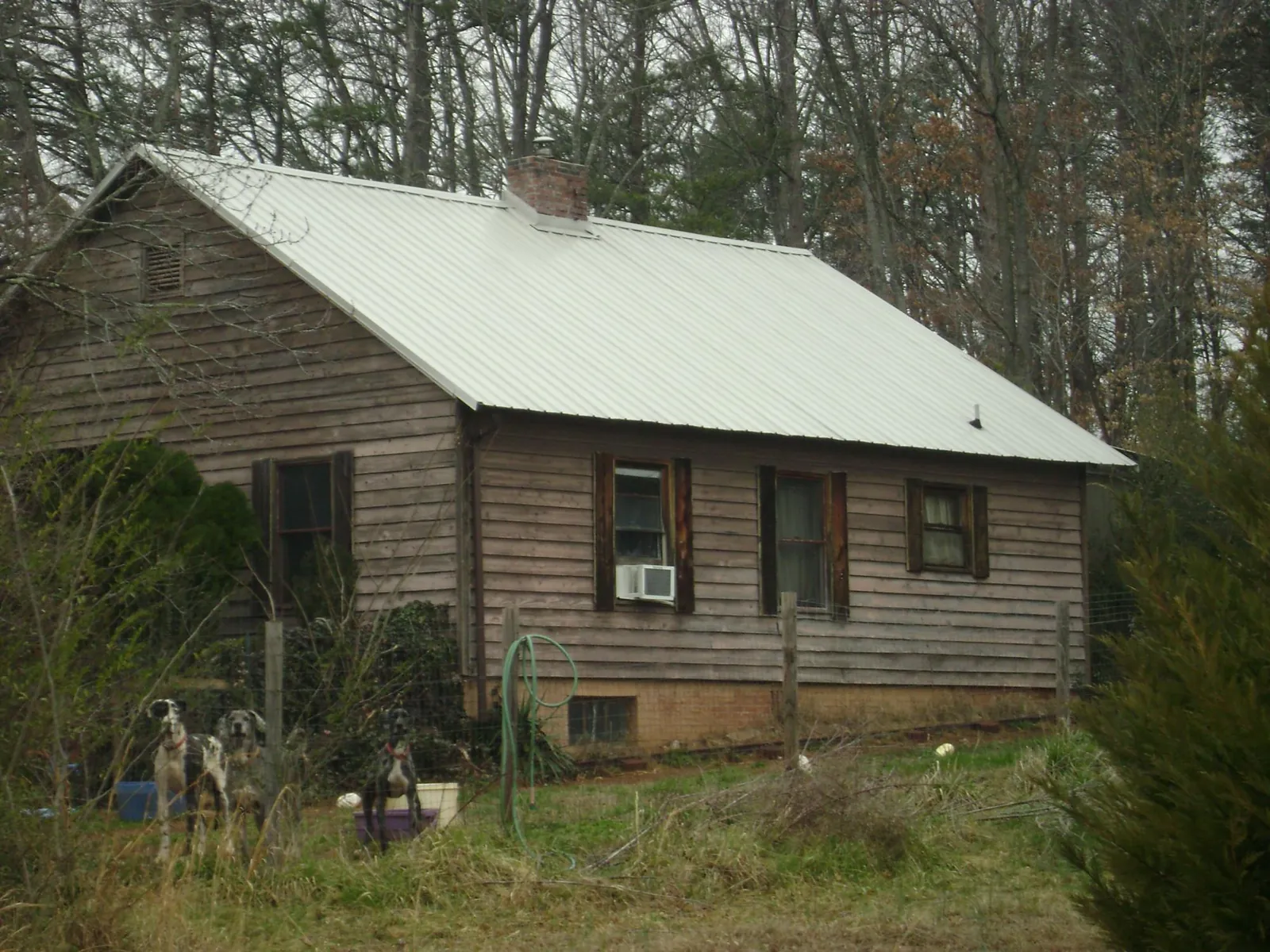 White metal roof on an old wood sided farmhouse, from a Asphalt Shingle Roof Repair job in Pasadena
